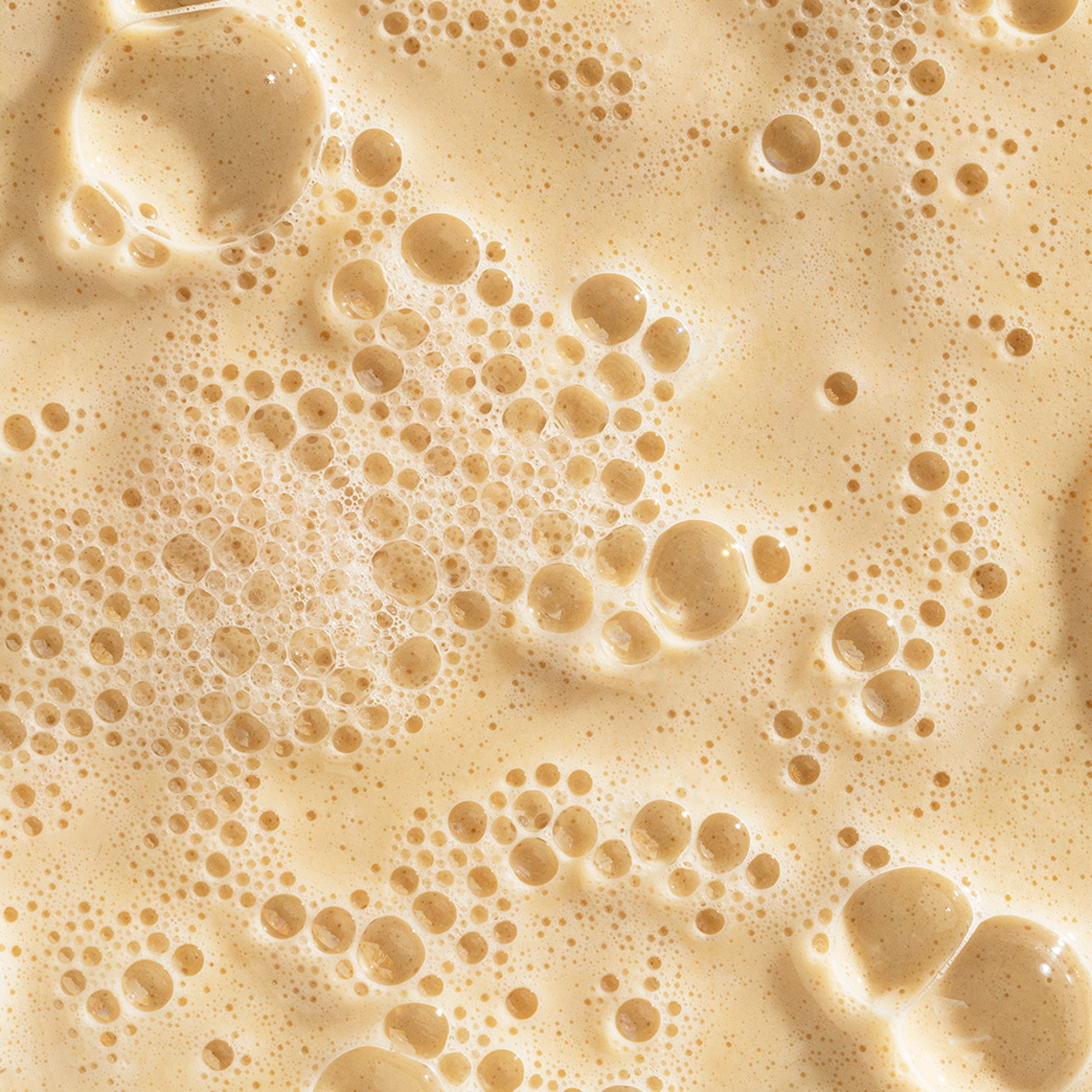 Dermalogica Daily Milkfoliant konsistens