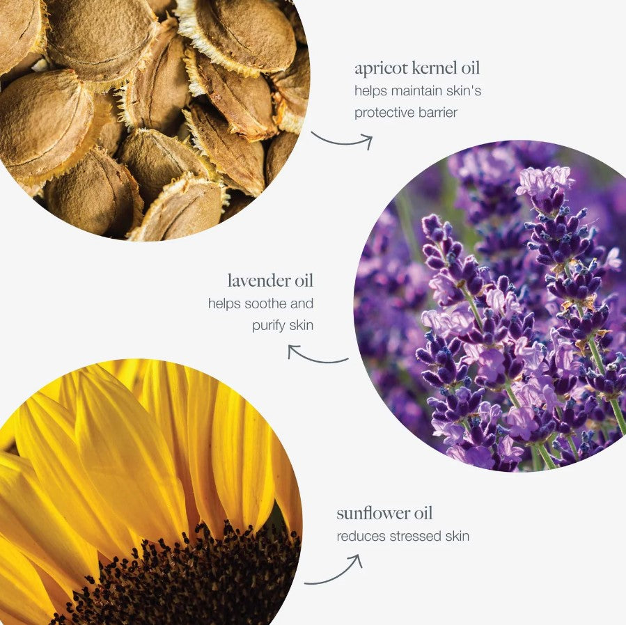 Dermalogica PreCleanse ingredienser