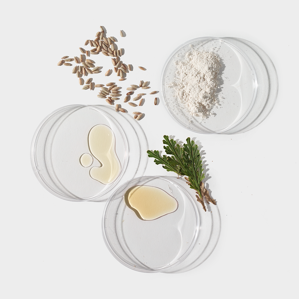 dermalogica neck fit contour serum ingredienser